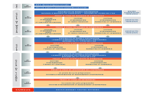 Diagramm, das die organisatorische Struktur eines Unternehmens mit interconnected boxes darstellt, die die verschiedenen Phasen des Geschäfts growths und der Entwicklung darstellen, begleitet von Text, der die Rollen und Verantwortlichkeiten beschreibt.