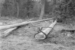 Schwarzes und weißes Foto eines Sägewerks im Wald mit Holzstämmen auf dem Boden und Bäumen im Hintergrund.