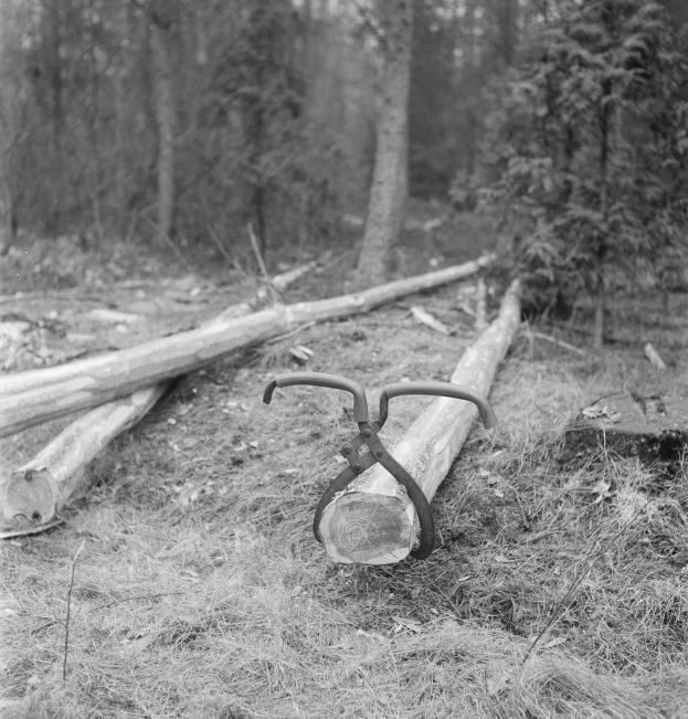 Schwarzes und weißes Foto eines Sägewerks im Wald mit Holzstämmen auf dem Boden und Bäumen im Hintergrund.