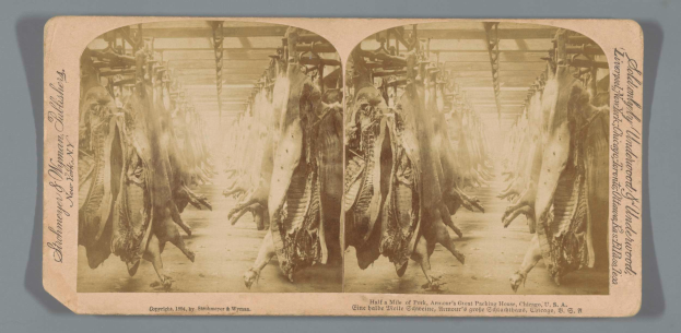 Ein Schwarz-Weiß-Foto einer Gruppe von Tieren, die von der Decke eines Schlachthofs hängen, mit einem Text auf einem Blatt Papier vor ihnen.