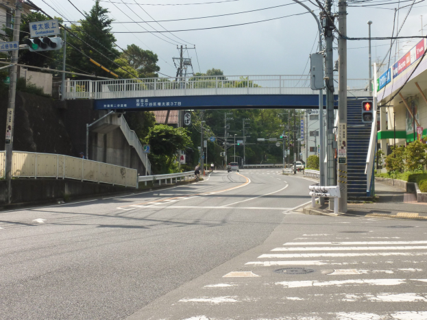 Stadtstraße mit einer Fußgängerbrücke darüber, Fahrzeuge auf der Straße, Strommasten mit Drähten, Verkehrsampeln, Schilder, Gebäude mit Fenstern, Bäume und ein Himmel als Hintergrund.