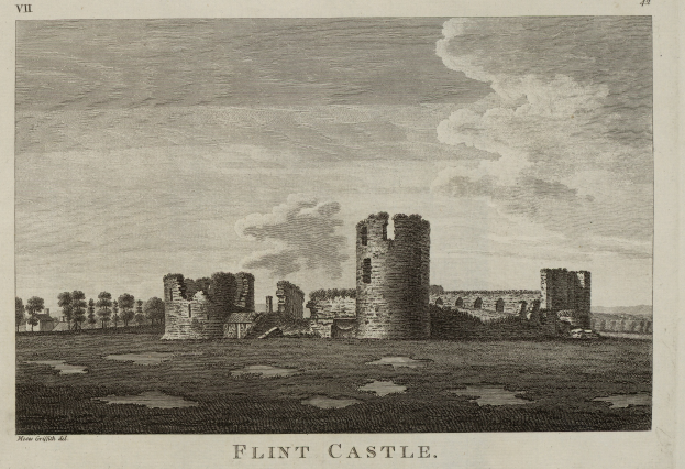 Ruinen von Flint Castle in England mit Bäumen im Vordergrund und einem bewölkten Himmel im Hintergrund, einschließlich Text unten.