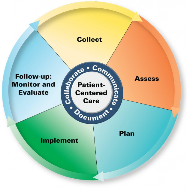Runder Diagramm-Titel "patientenorientierte Pflege" mit vier farbigen Abschnitten, jeweils mit einem spezifischen Pflegeaspekt beschriftet.