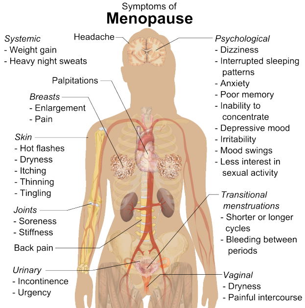 Ein Diagramm des menschlichen Körpers mit Etiketten, die Menopausen-Symptome wie Müdigkeit, Kopfschmerzen und Übelkeit angeben, sowie Informationen zu Ursachen, Symptomen und Behandlungen.