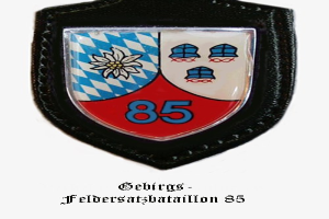 Ein Abzeichen mit der Nummer 85 und dem Logo von FC Bayern München, darunter deutscher Text.